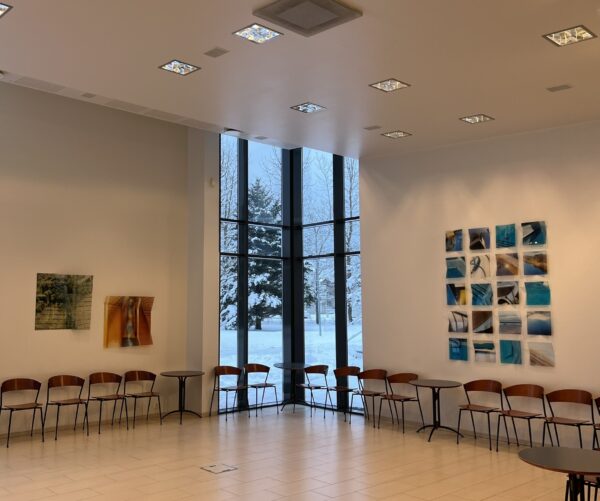 Séð yfir sýninguna að hluta til